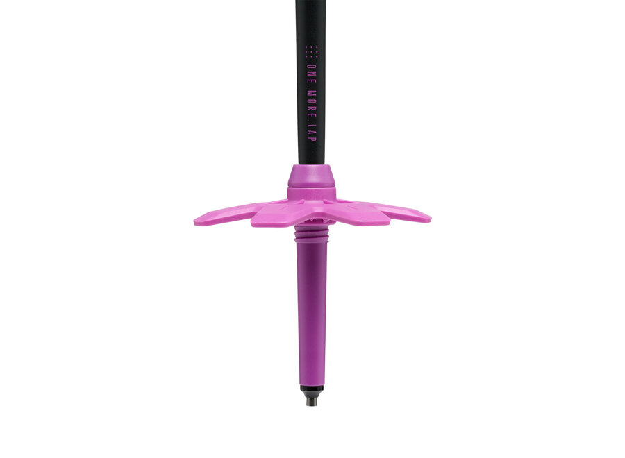 Black Diamond Expedition Ski Poles