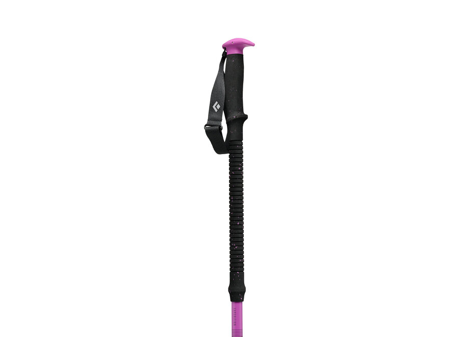 Black Diamond Expedition Ski Poles