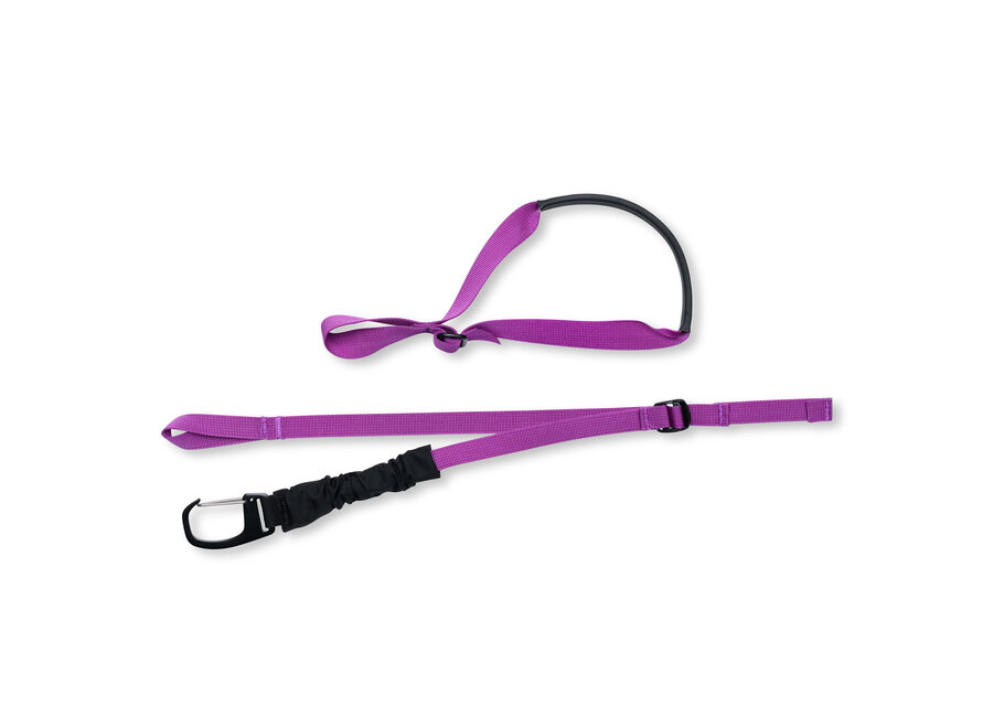 Black Diamond Ski Carry Kit With Clip