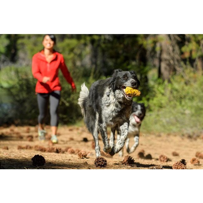 Ruffwear Gnawt-a-Cone