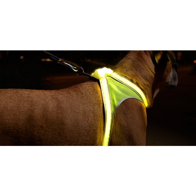 lighthound vest