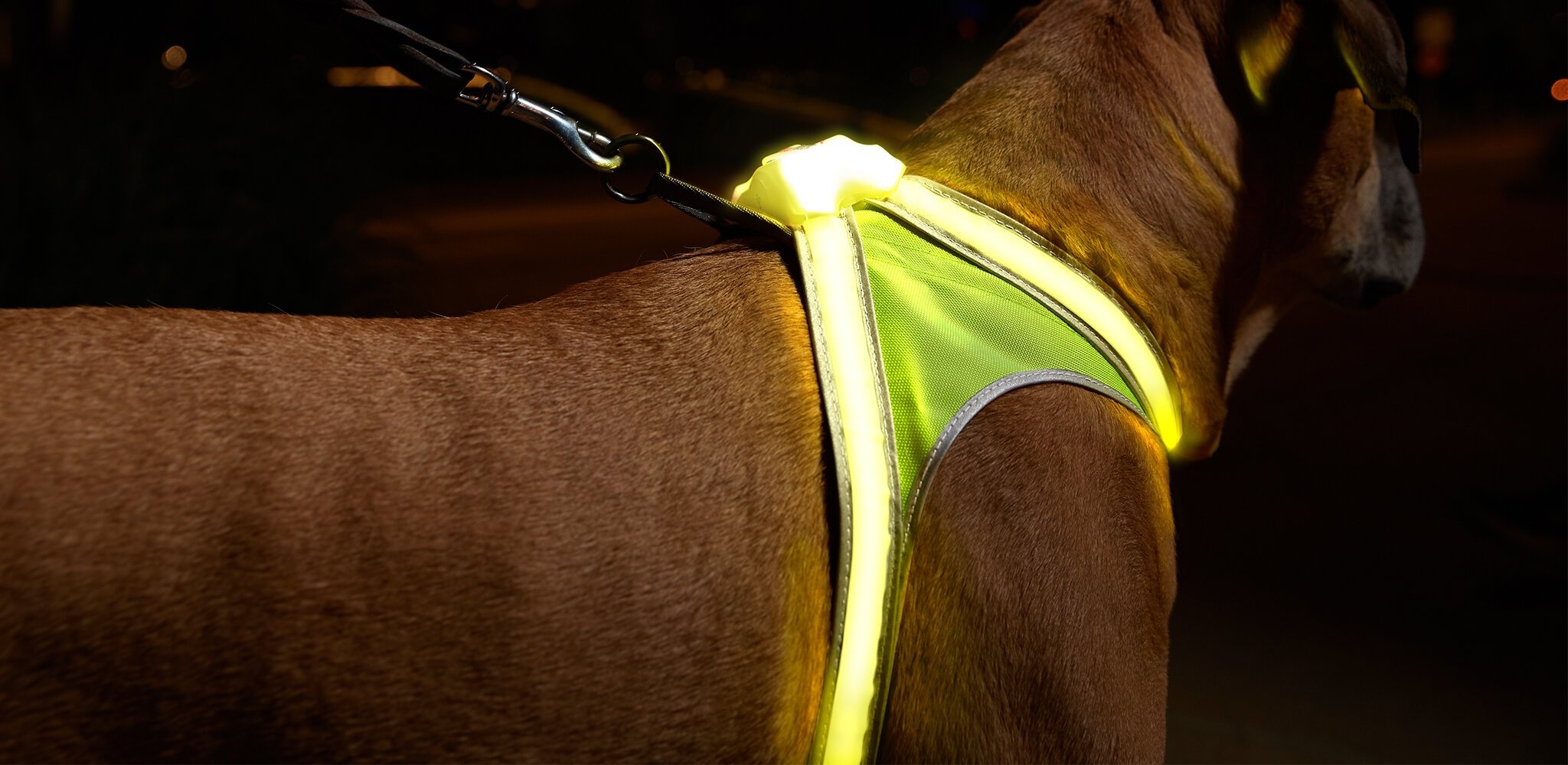 lighthound vest