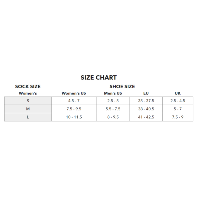 Darn Tough Women's Pacer Micro Crew Ultra-Lightweight with Cushion