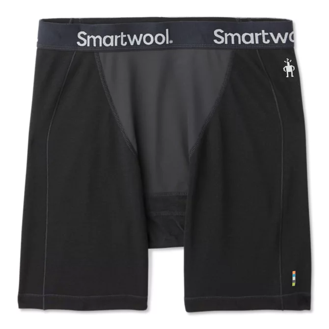 Smartwool Merino Sport 150 Briefs - Men's | MEC