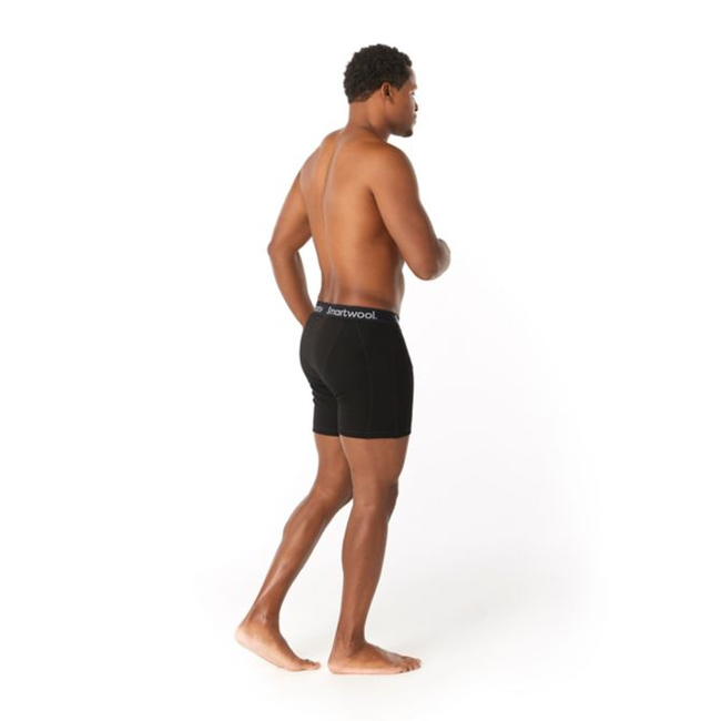 Smartwool Men's Merino Sport 250 Wind Boxer Brief