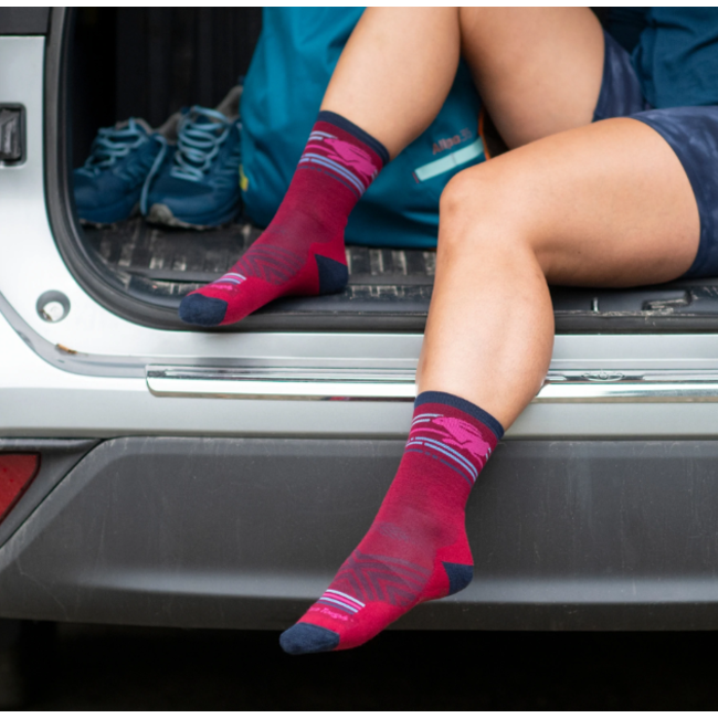 Darn Tough Women's Pacer Micro Crew Ultra-Lightweight with Cushion