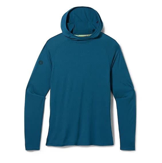 Smartwool men's merino 150 sales pattern hoodie