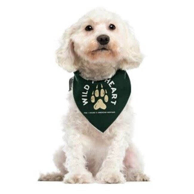 Fox + Hound Outdoor Adventures Dog Bandana Large