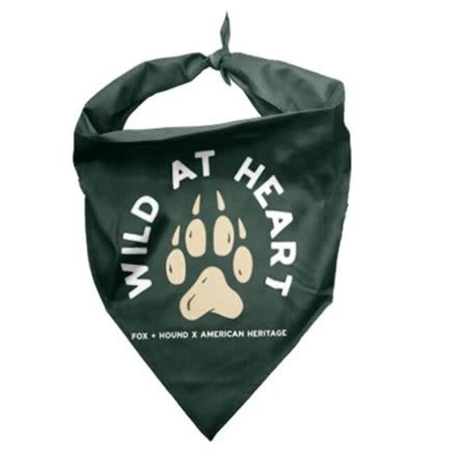 Fox + Hound Outdoor Adventures Dog Bandana Large