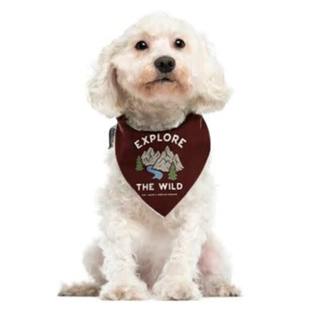Fox + Hound Outdoor Adventures Dog Bandana Large