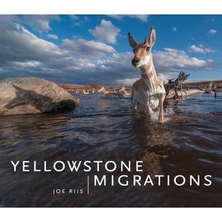 Mountaineers Books Yellowstone Migrations