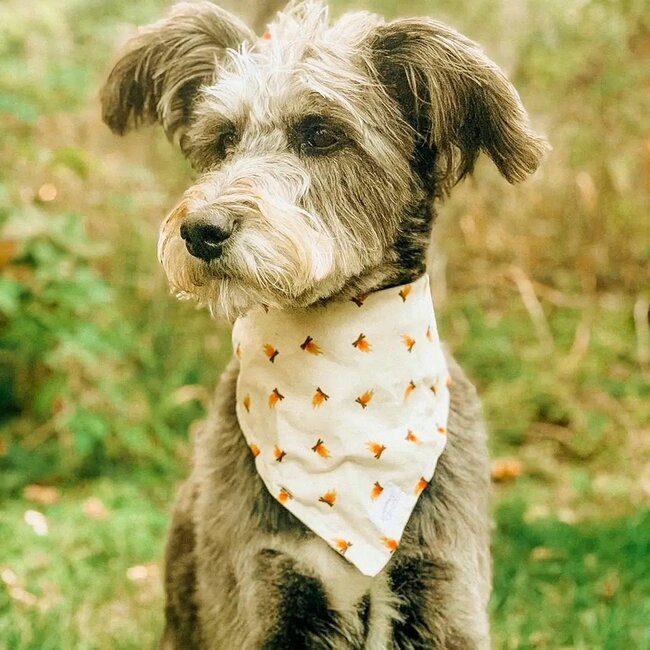 Camp Hound Dog Bandana