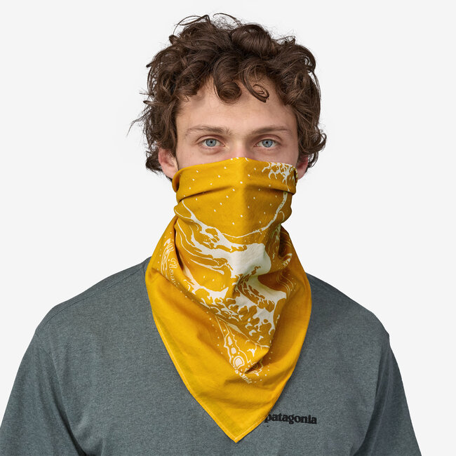 Patagonia Bandana