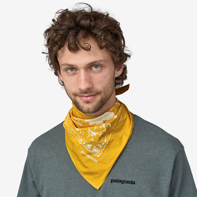 Patagonia Bandana