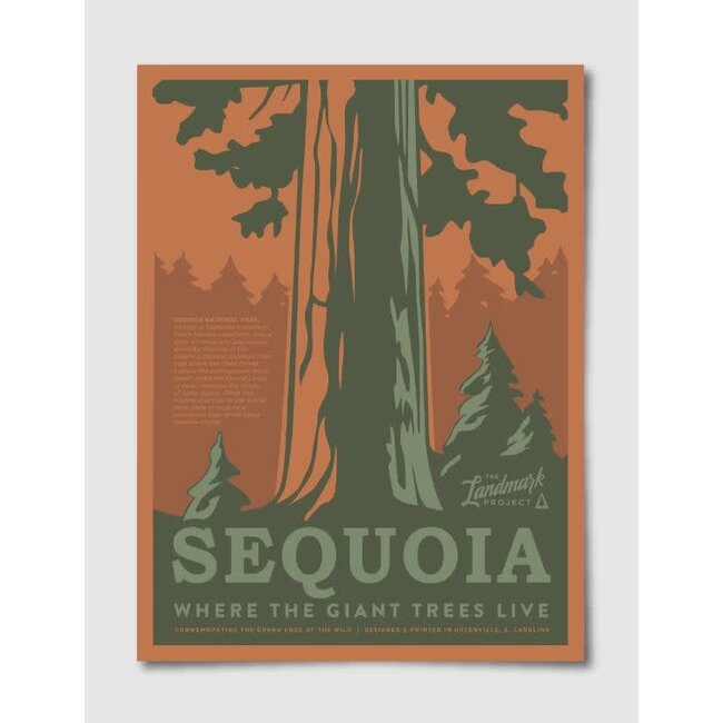 Landmark Project National Park Poster 18x24