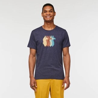 Cotopaxi Men's Llama Sequence Organic T-Shirt
