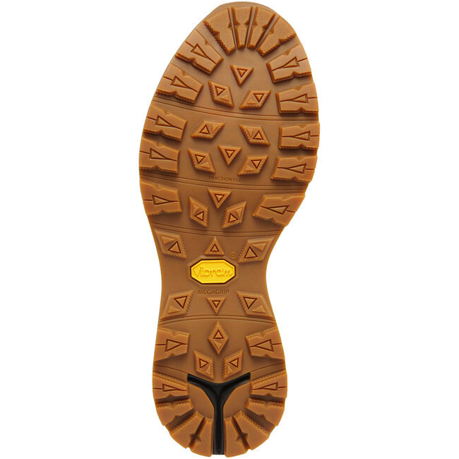 Danner Women's Mountain 600 Evo 4" GTX