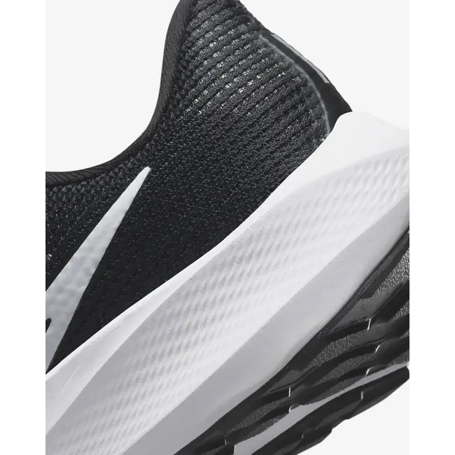 Nike Women's Pegasus 40