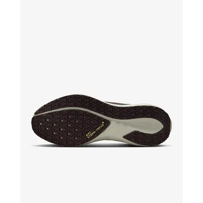 Nike Men's Pegasus 41 GTX