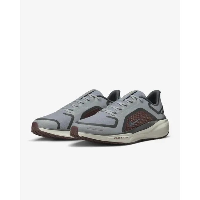 Nike Men's Pegasus 41 GTX