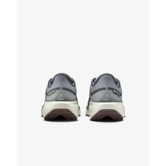 Nike Men's Pegasus 41 GTX