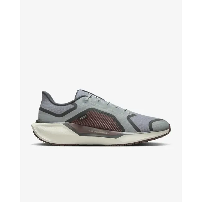 Nike Men's Pegasus 41 GTX