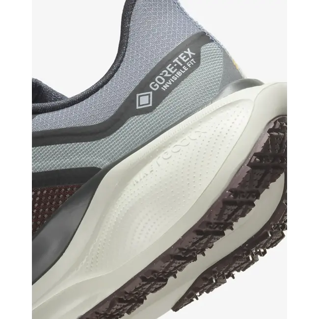 Nike Men's Pegasus 41 GTX