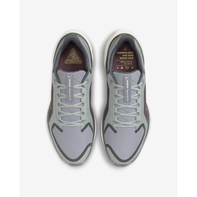 Nike Men's Pegasus 41 GTX