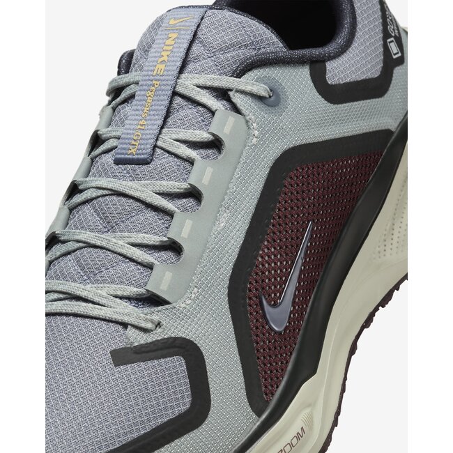 Nike Men's Pegasus 41 GTX