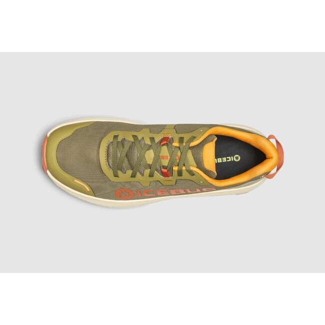 Icebug Women's Arcus 2 BUGrip GTX