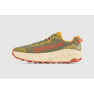 Icebug Women's Arcus 2 BUGrip GTX