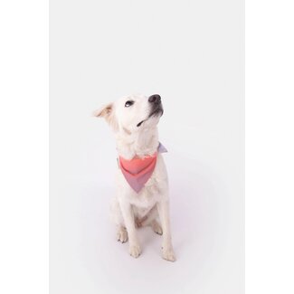 Gofluo Reflective Bandana