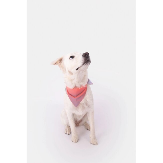 Gofluo Reflective Bandana