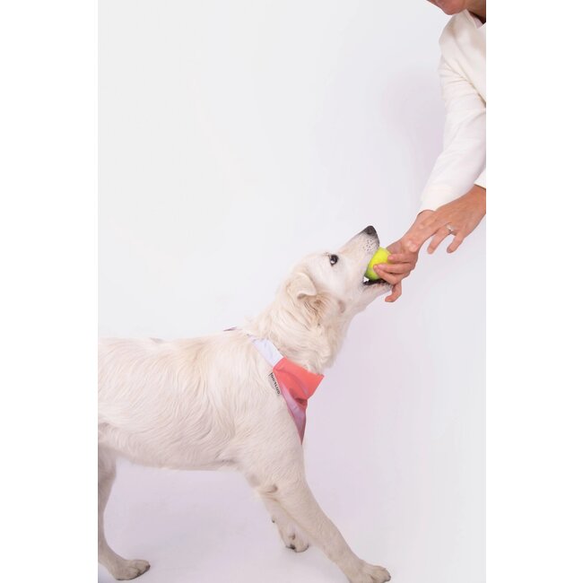 Gofluo Reflective Bandana