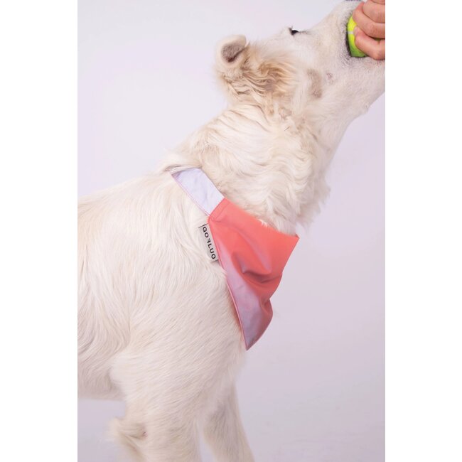 Gofluo Reflective Bandana