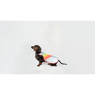 Gofluo Luna Reflective Dog Vest
