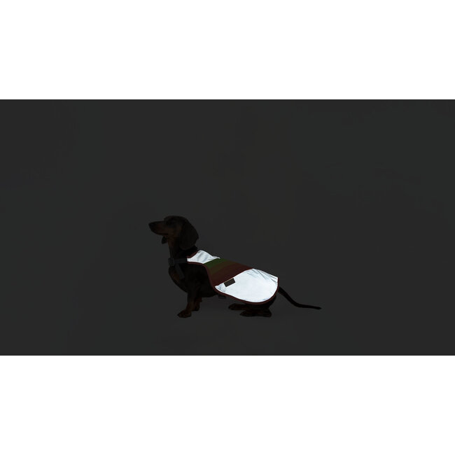 Gofluo Luna Reflective Dog Vest