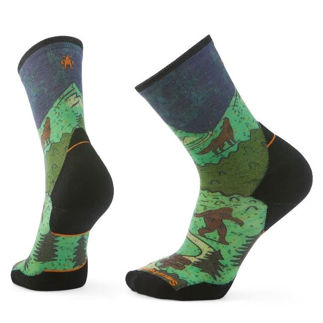 Smartwool Men's Trail Run Targeted Cushion Neature Print Crew Socks