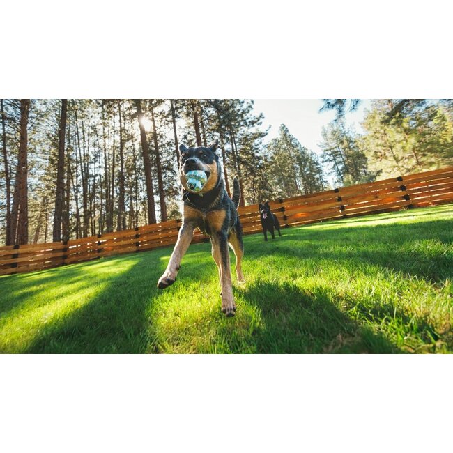 Ruffwear Toadstool Toy