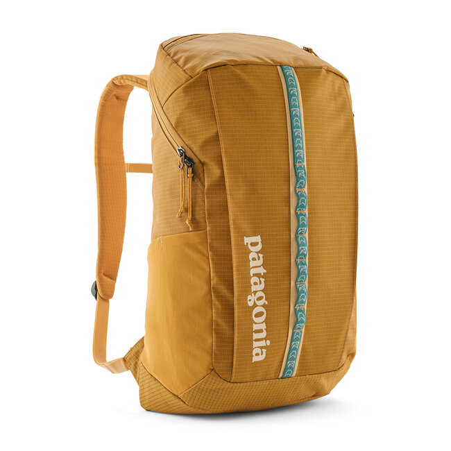 Patagonia Black Hole Pack 25L