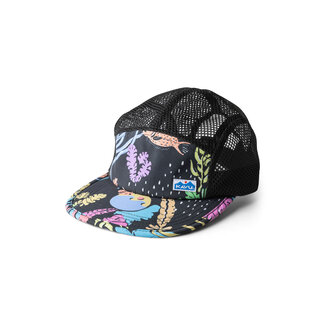 Kavu Drift Creek