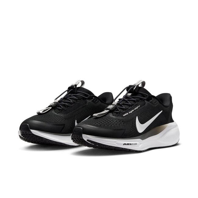 Nike Women's Pegasus EasyOn