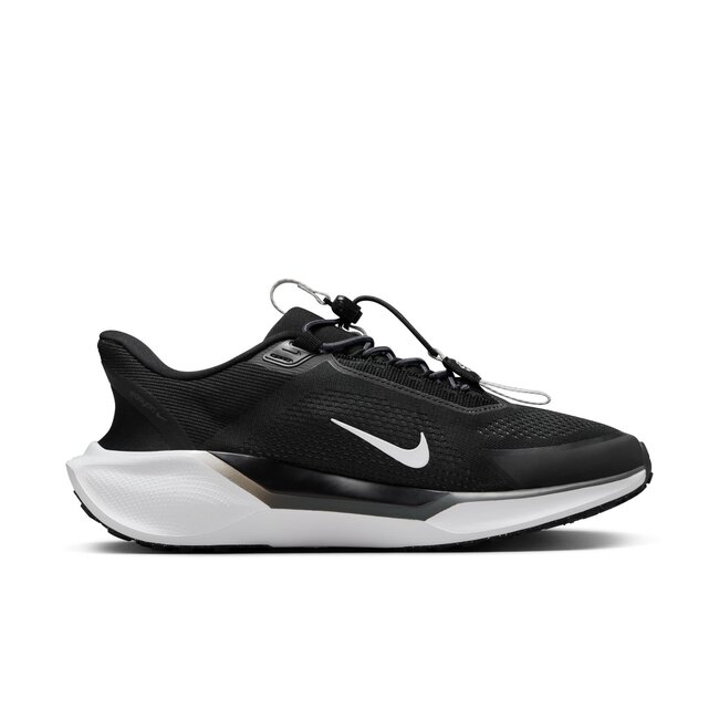 Nike Women's Pegasus EasyOn