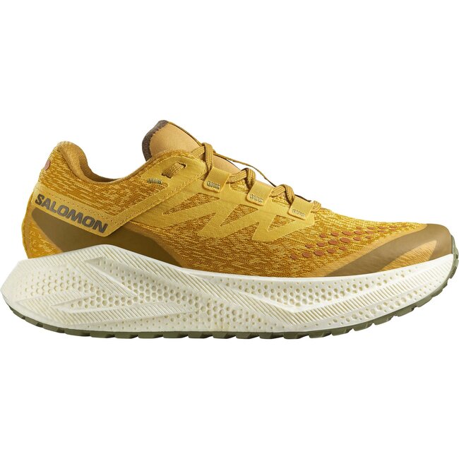 Salomon Men's Aero Glide 3 GRVL