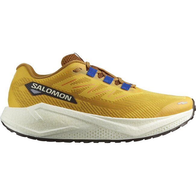 Salomon Men's Aero Blaze 3 GRVL