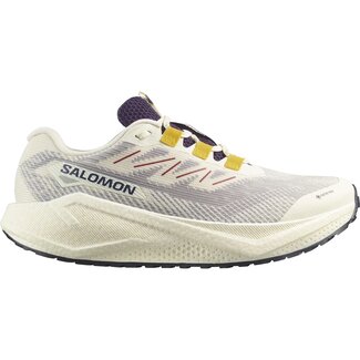 Salomon Men's Aero Blaze 3 GRVL GTX