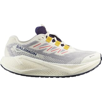 Salomon Women's Aero Blaze 3 GRVL GTX