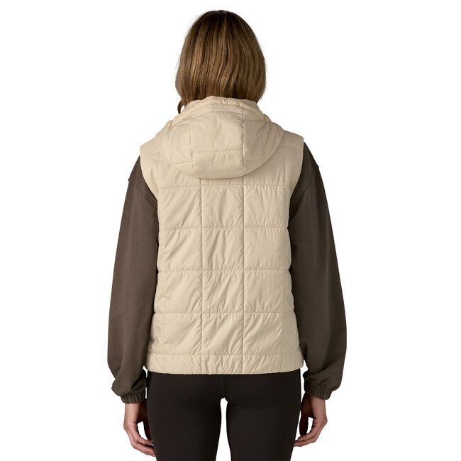 Patagonia Women's Light Gust Hooded Vest