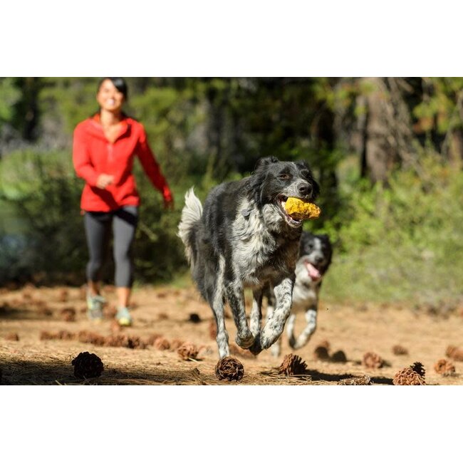 Ruffwear Gnawt-a-Cone