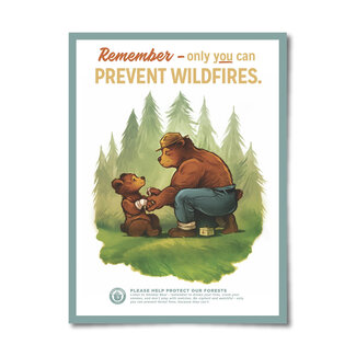 Landmark Project Prevent Wildfires Poster 12x16
